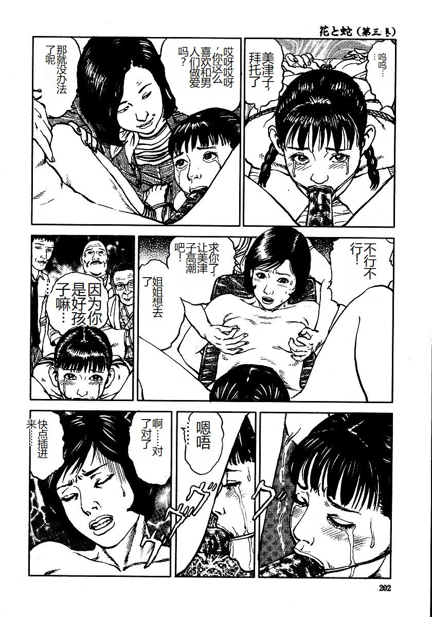Hana to Hebi 3 - Page 207