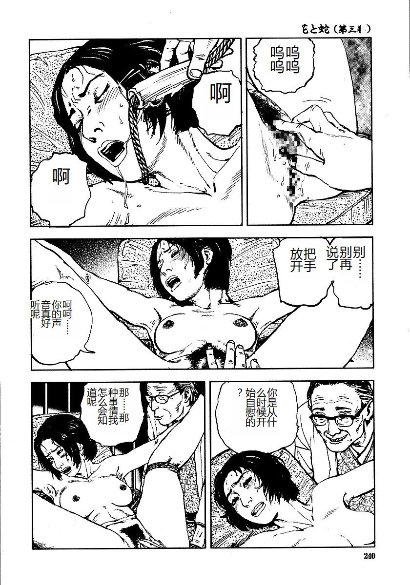 Hana to Hebi 3 - Page 245