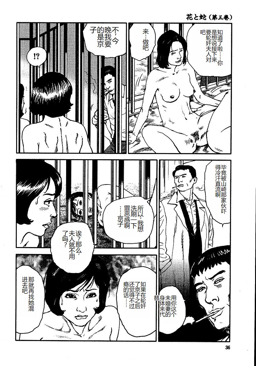 Hana to Hebi 3 - Page 41