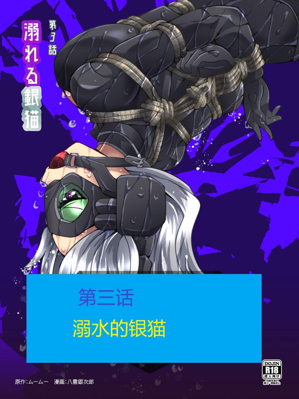 怪盗シルバーキャット漫画版 全話【中国翻訳】 - Page 51