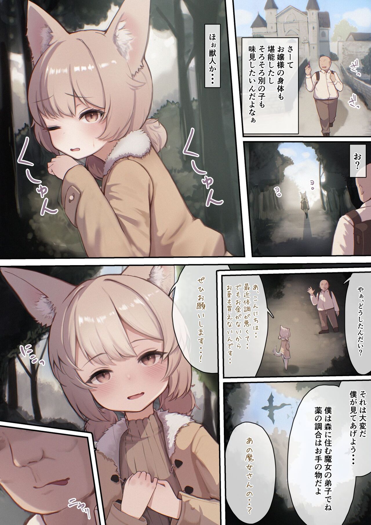 お薬使ってやりたい放題!異世界種付け調教 - Page 29