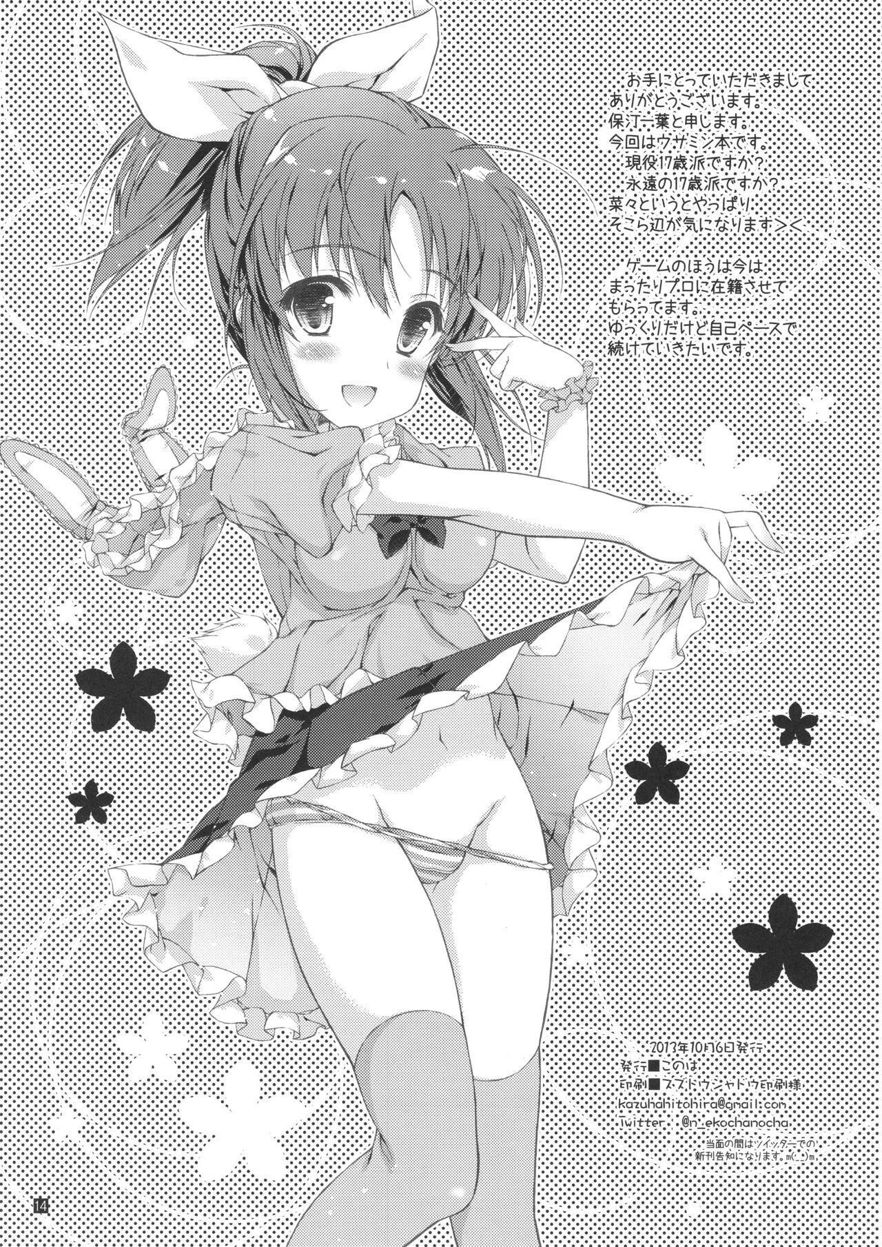 ERO Usa - Page 13
