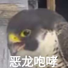 宇智波鼬x漩涡鸣人 - Page 1