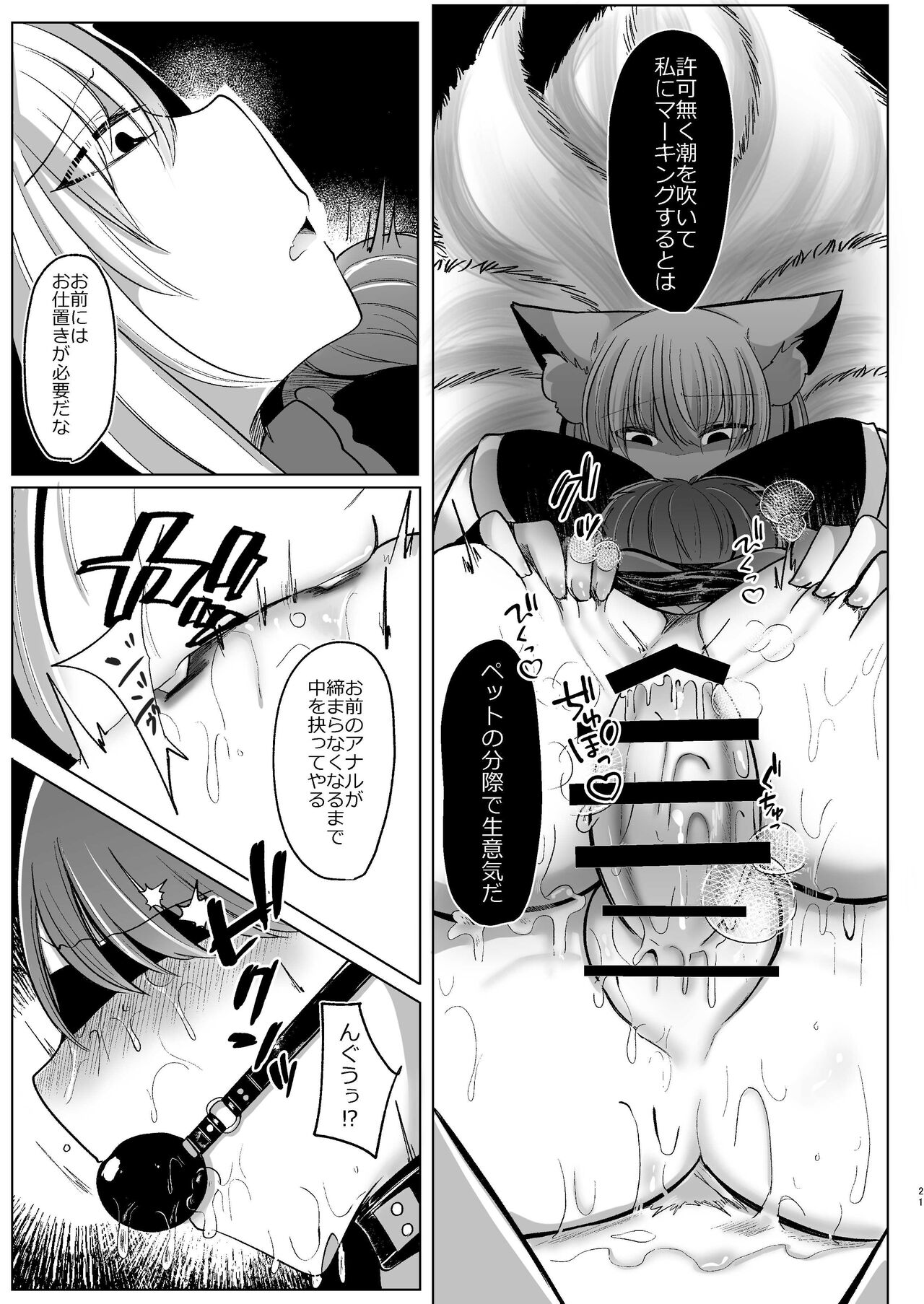 八雲藍が性処理ペットと戯れる本 - Page 21