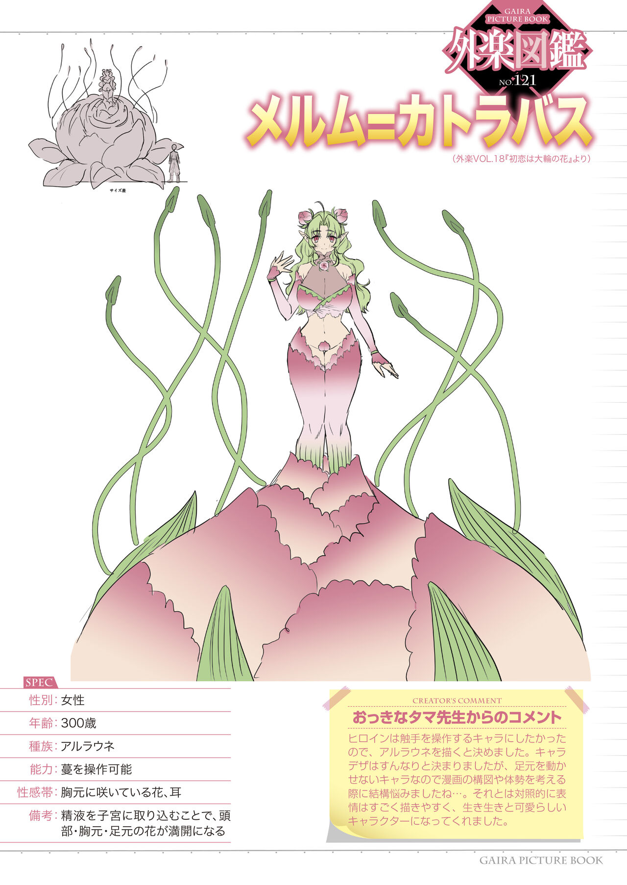 Preview page 4