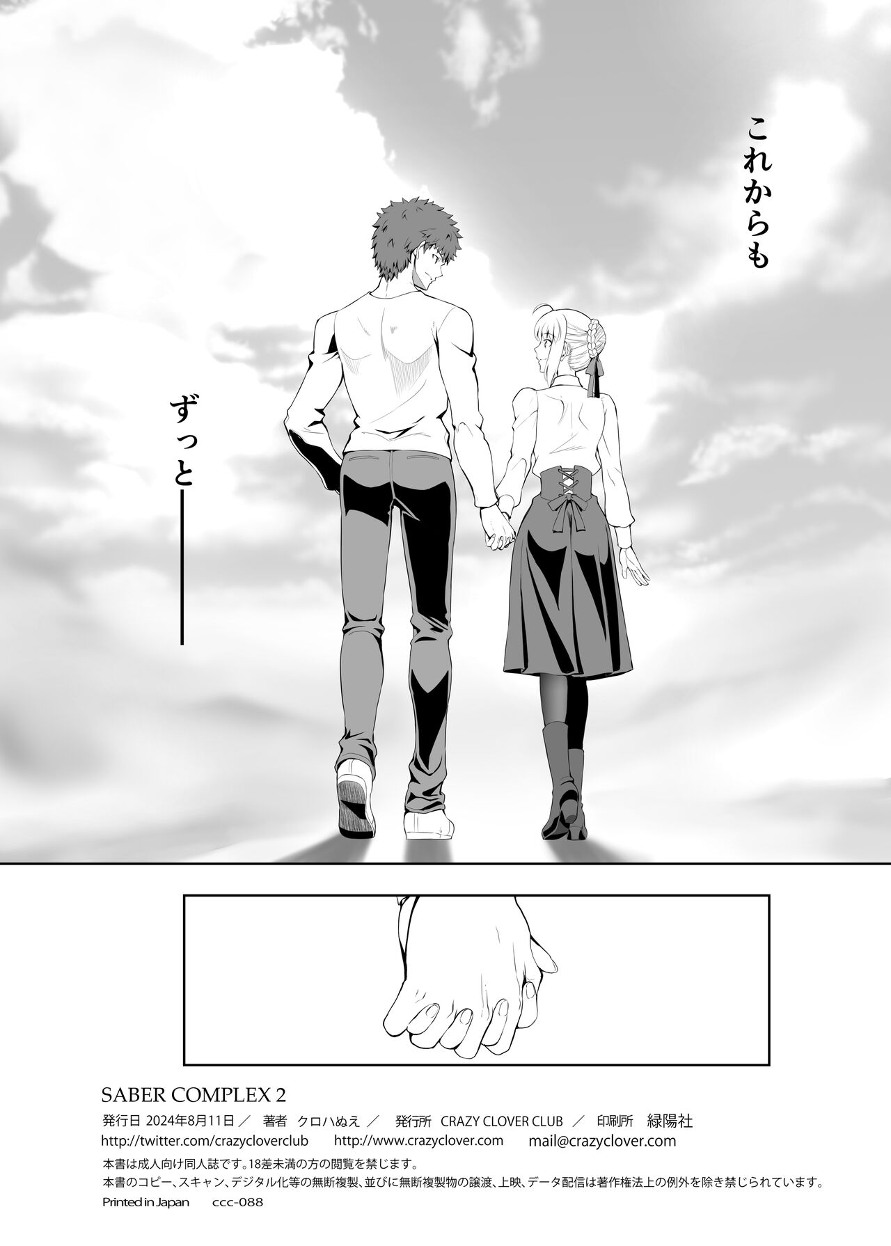 SABER COMPLEX 2 - Page 41