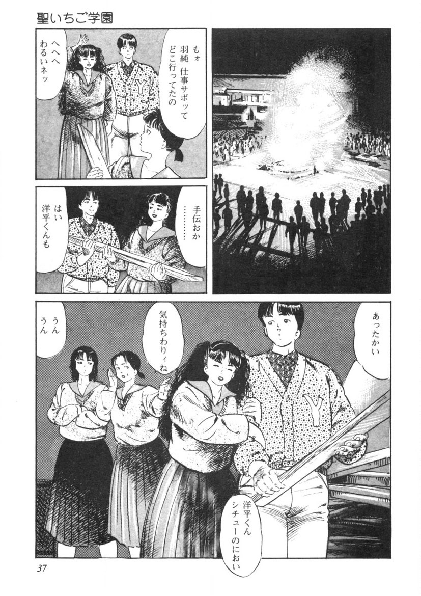 Sei Ichigo Gakuen - Page 38