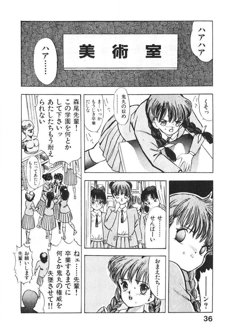 Otome no Onegai Vol. 2 - Page 35