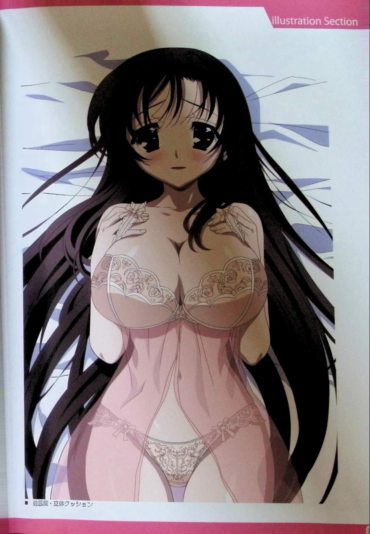 SCHOOLDAYS SERIES COMPLETE BOX  Visual Book - Page 55
