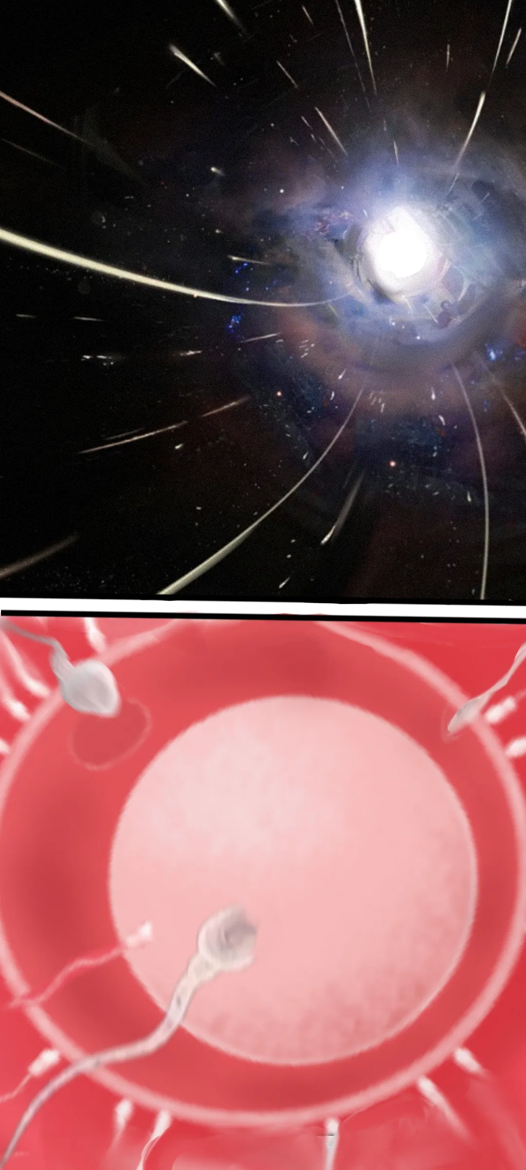 作业帮·《Not yet dawn》（明日方舟英语同人H·LC整合汉化组代发） - Page 29