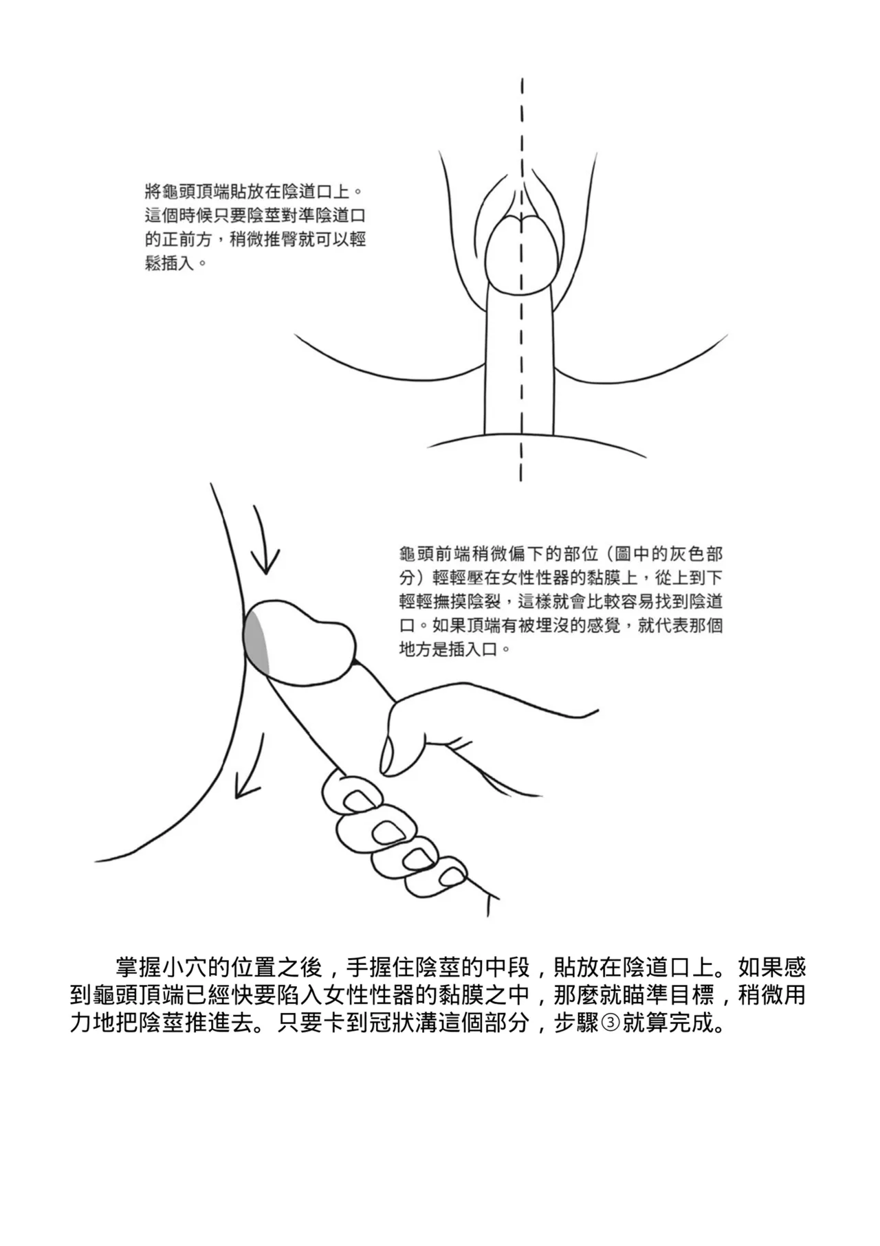 抽插攻略：圖解陰道插入．活塞運動完全指南 page 17 - how to hentai manga - read online free