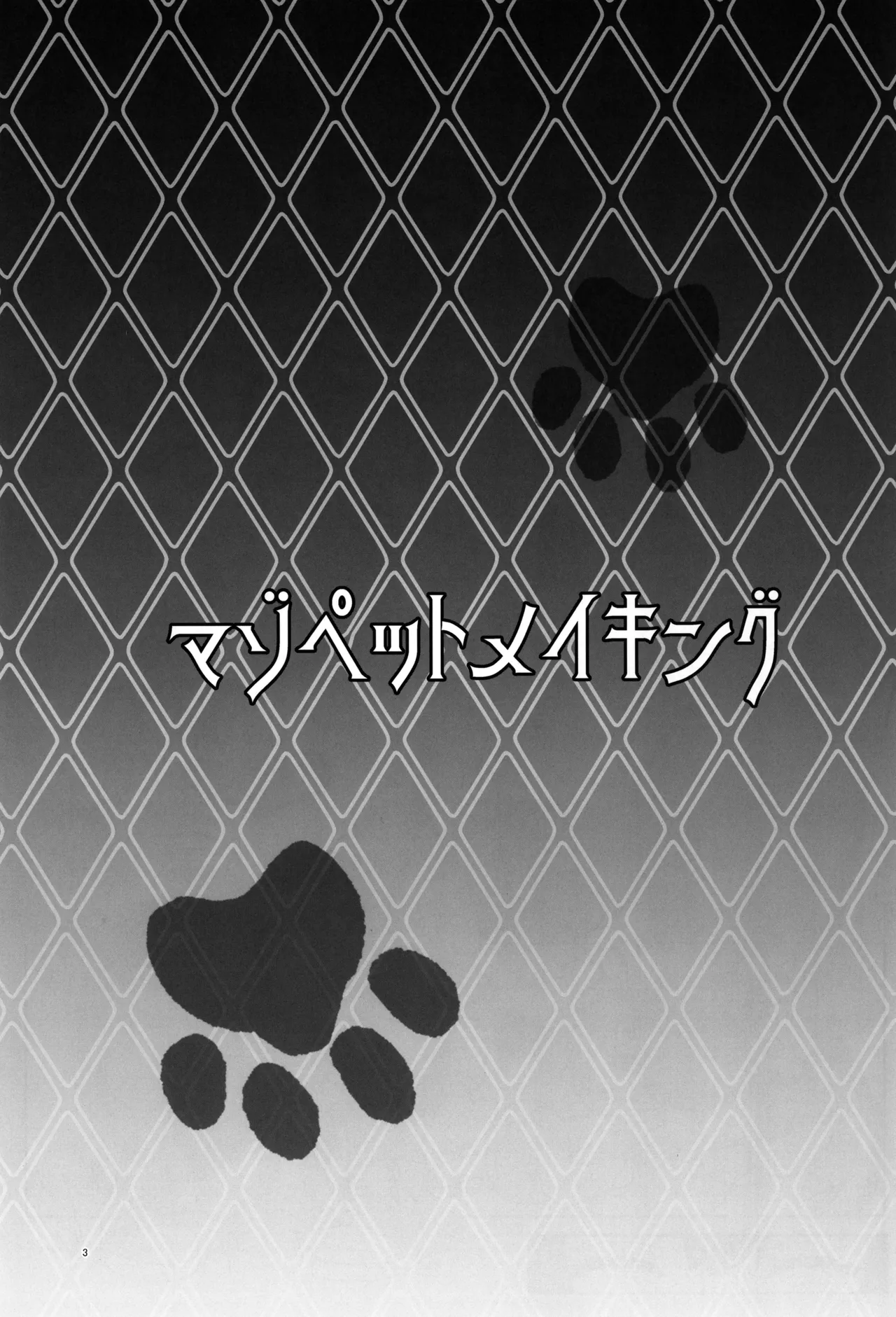 Maso Pet Making + Paper - Page 3