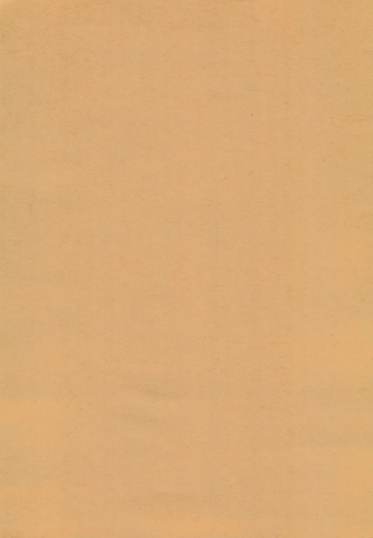 Osasoi Bunny | 邀请的小兔 - Page 5