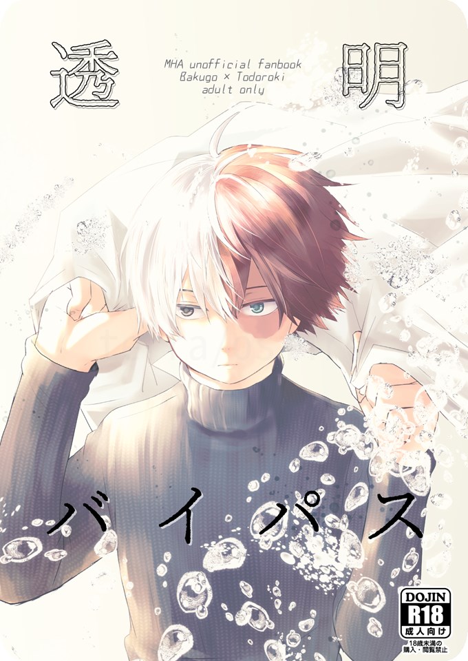 透明バイパス - Page 1