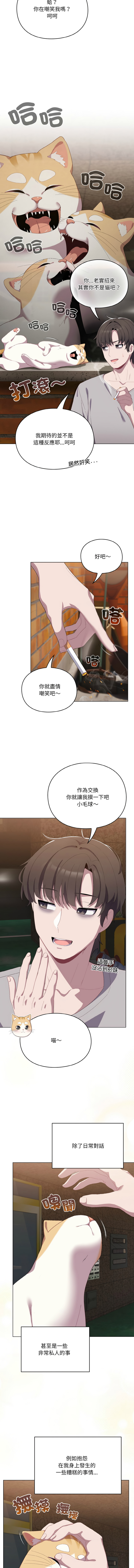 喵来的恋爱 | 喵來的戀愛 1-5 page 12 - big breasts webtoon hentai manga - read online free