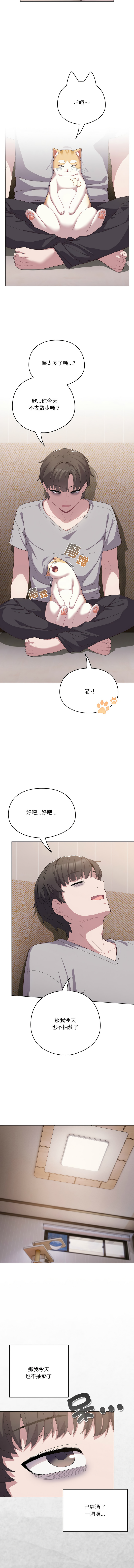 喵来的恋爱 | 喵來的戀愛 1-5 page 61 - big breasts webtoon hentai manga - read online free