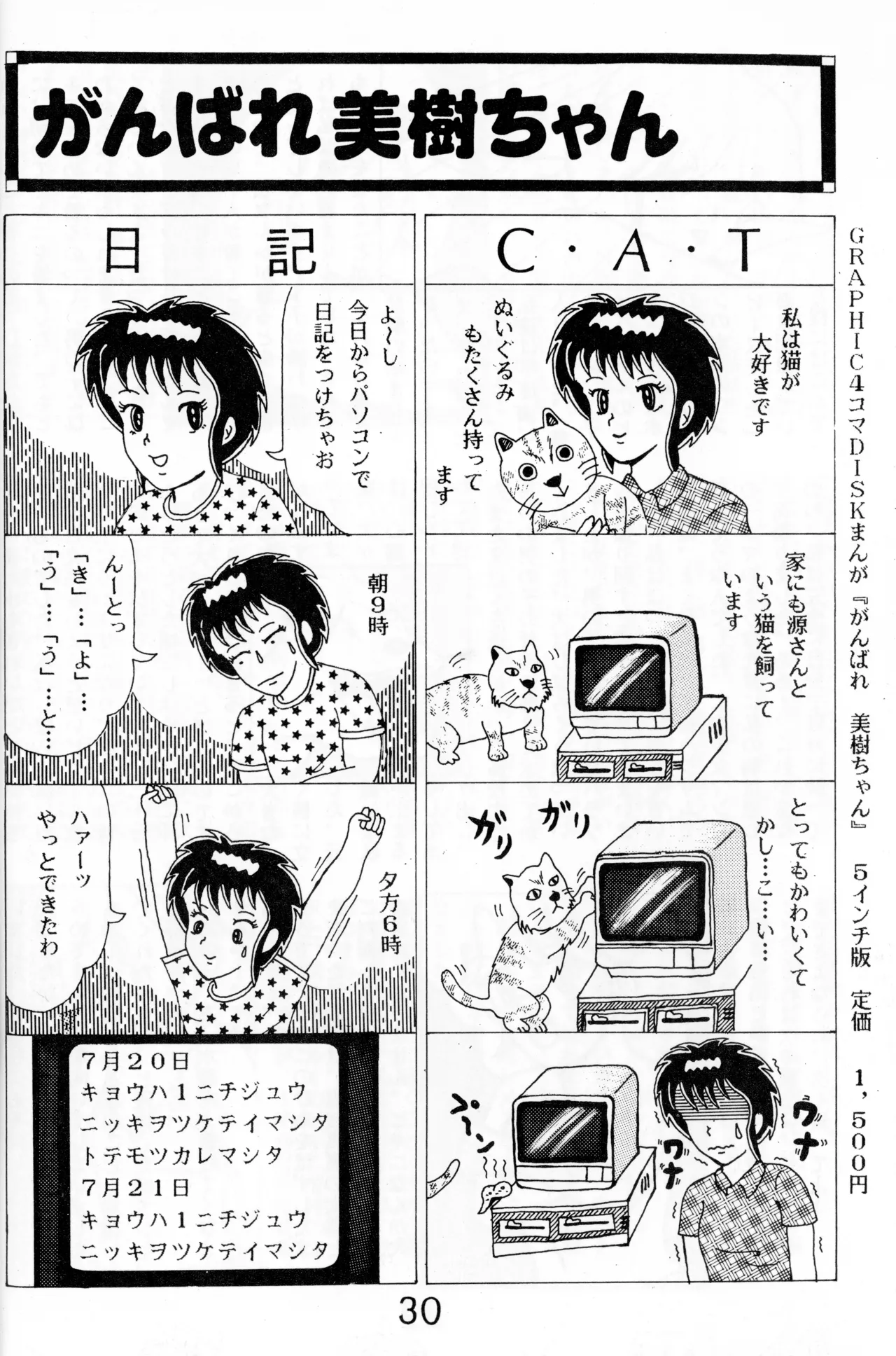 Graphic idol information magazine "ZETA" first issue.2 - Page 27