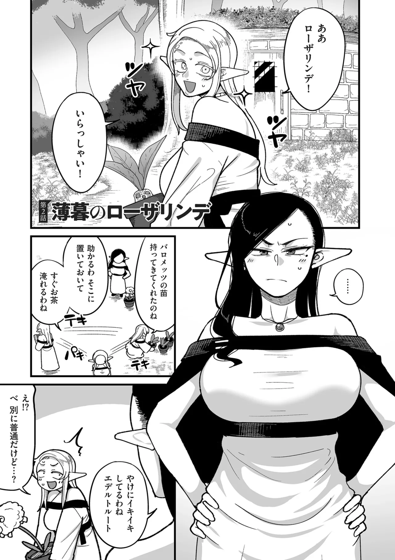 Genkai Jukujo Elf Senyou! Danshou Delivery Service!! page 41 - beauty mark big areolae hentai manga - read online free