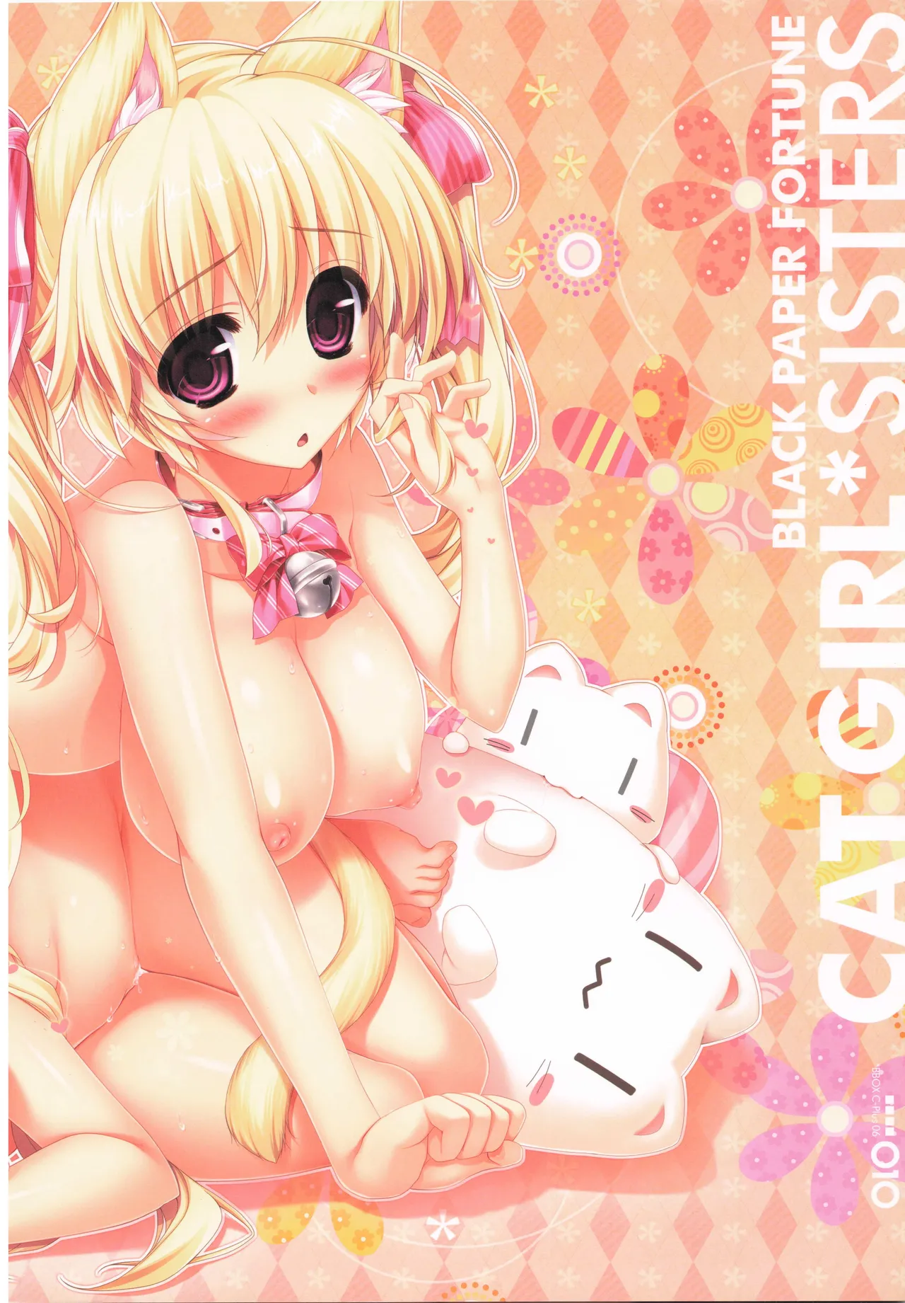 BBOX C-Plus 06 - Page 10