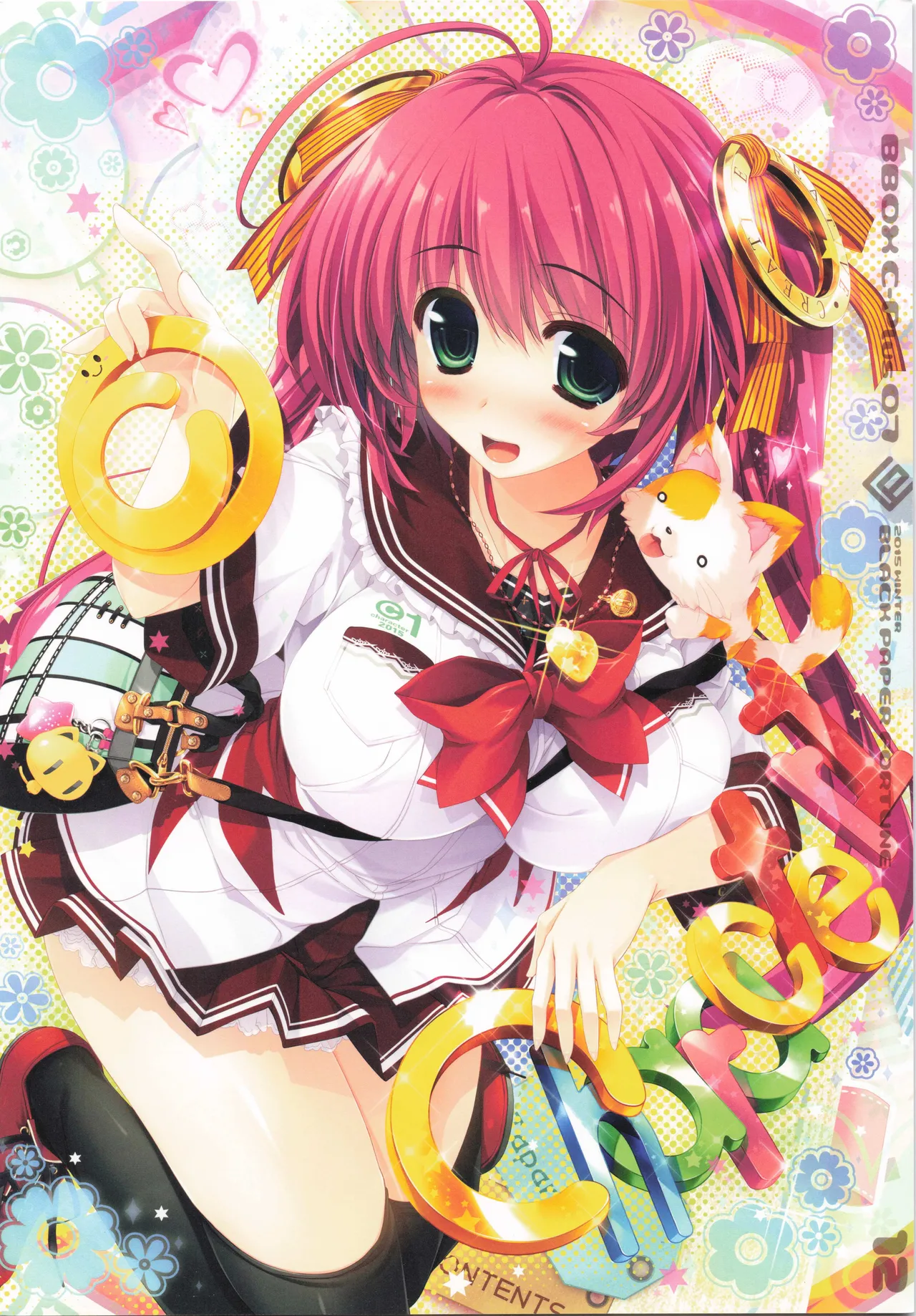 BBOX C-Plus 07 - Page 12