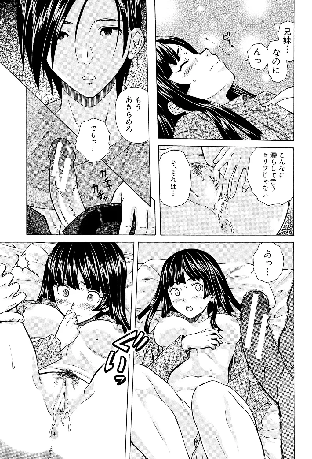 Page 41 of [Fuuga] Ani to Imouto no Jijou. [Digital]