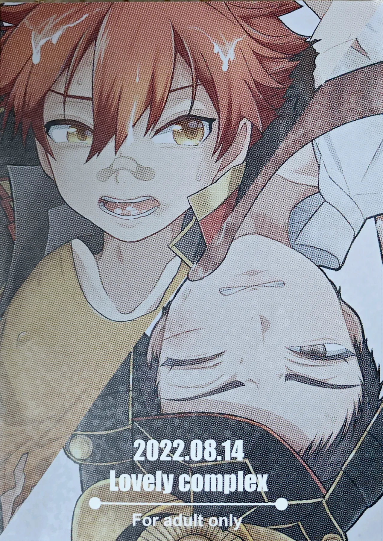 yakō dōchū / nin neko / Lovely complex page 22 featuring aizen kunitoshi touken ranbu parody - anal males only hentai manga - read online free