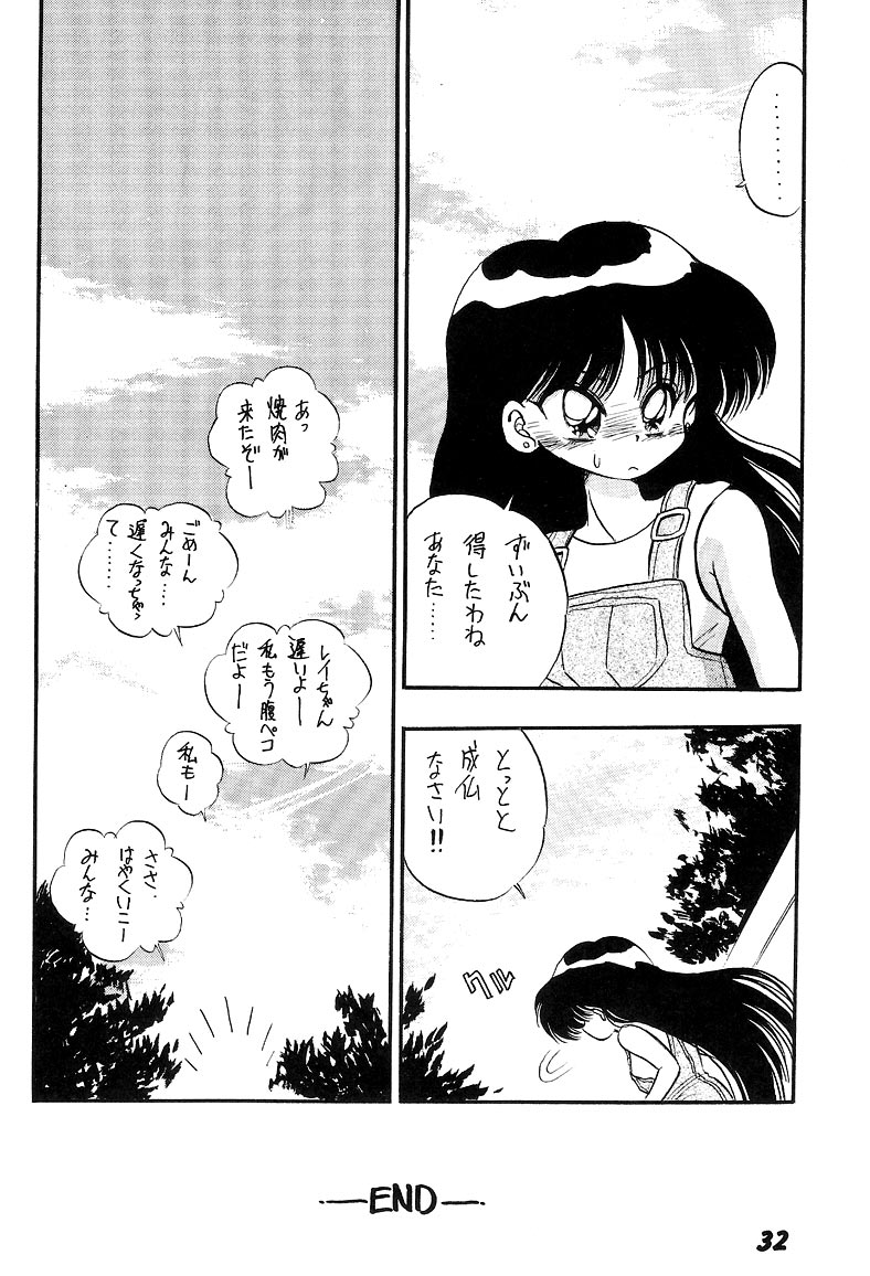 Nesshisen HEAT VISION - Page 31