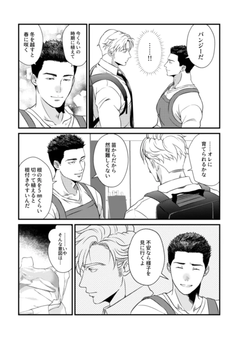 - Pansies in love - Page 22