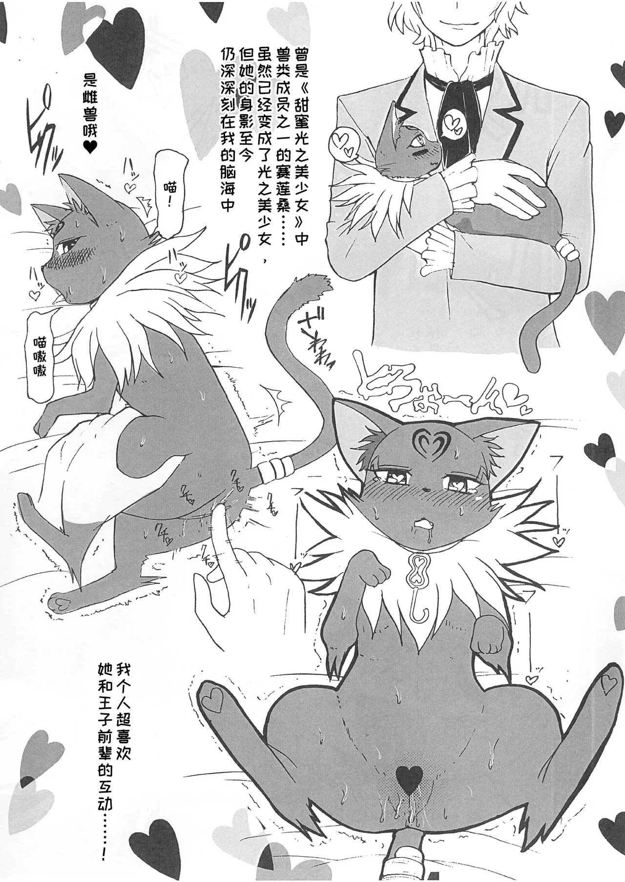 Sayonara Siren | 再见，赛莲 page 14 featuring siren suite precure parody - human on furry cat hentai manga - read online free