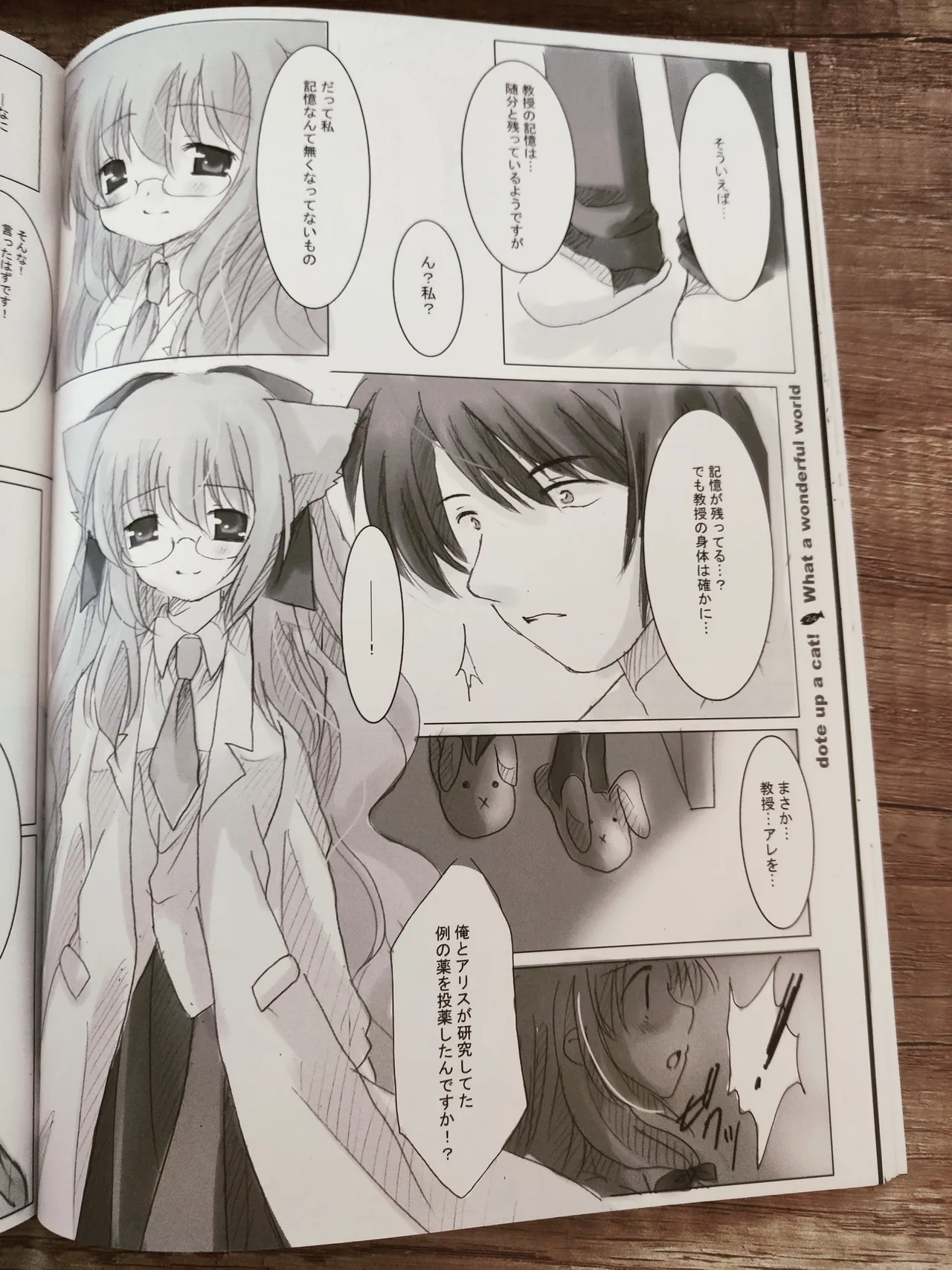 What A Wonderful World page 25 original parody - kemonomimi twins hentai manga - read online free