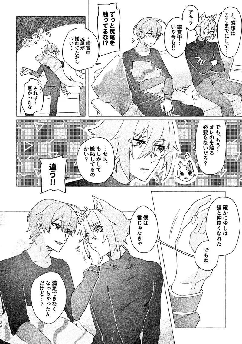 Seth no Neko Bubun, Okarishimasu - Page 24