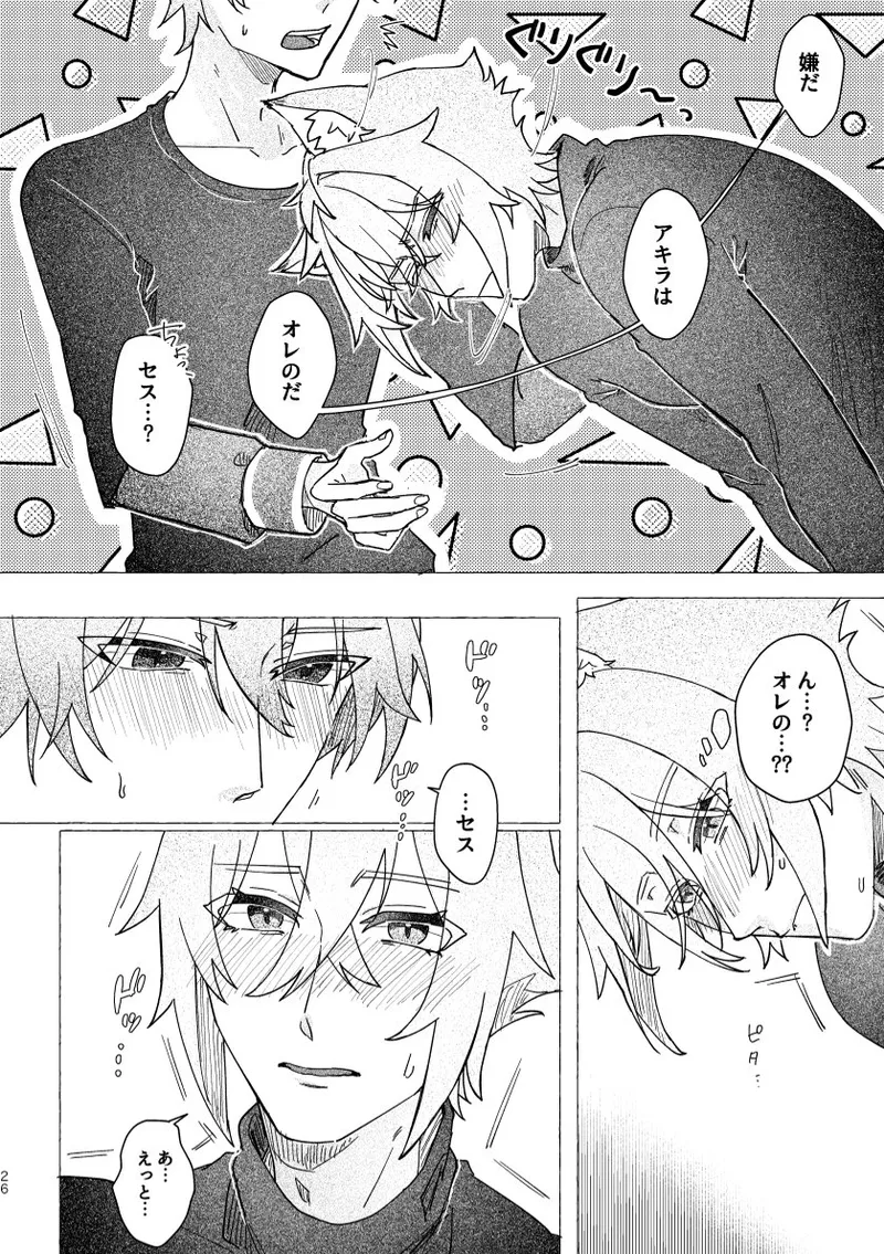 Seth no Neko Bubun, Okarishimasu - Page 26