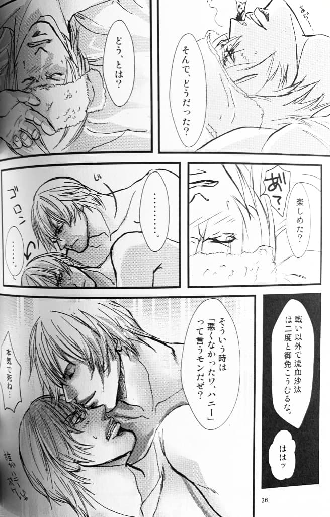 八神DV再録集1 - Page 37