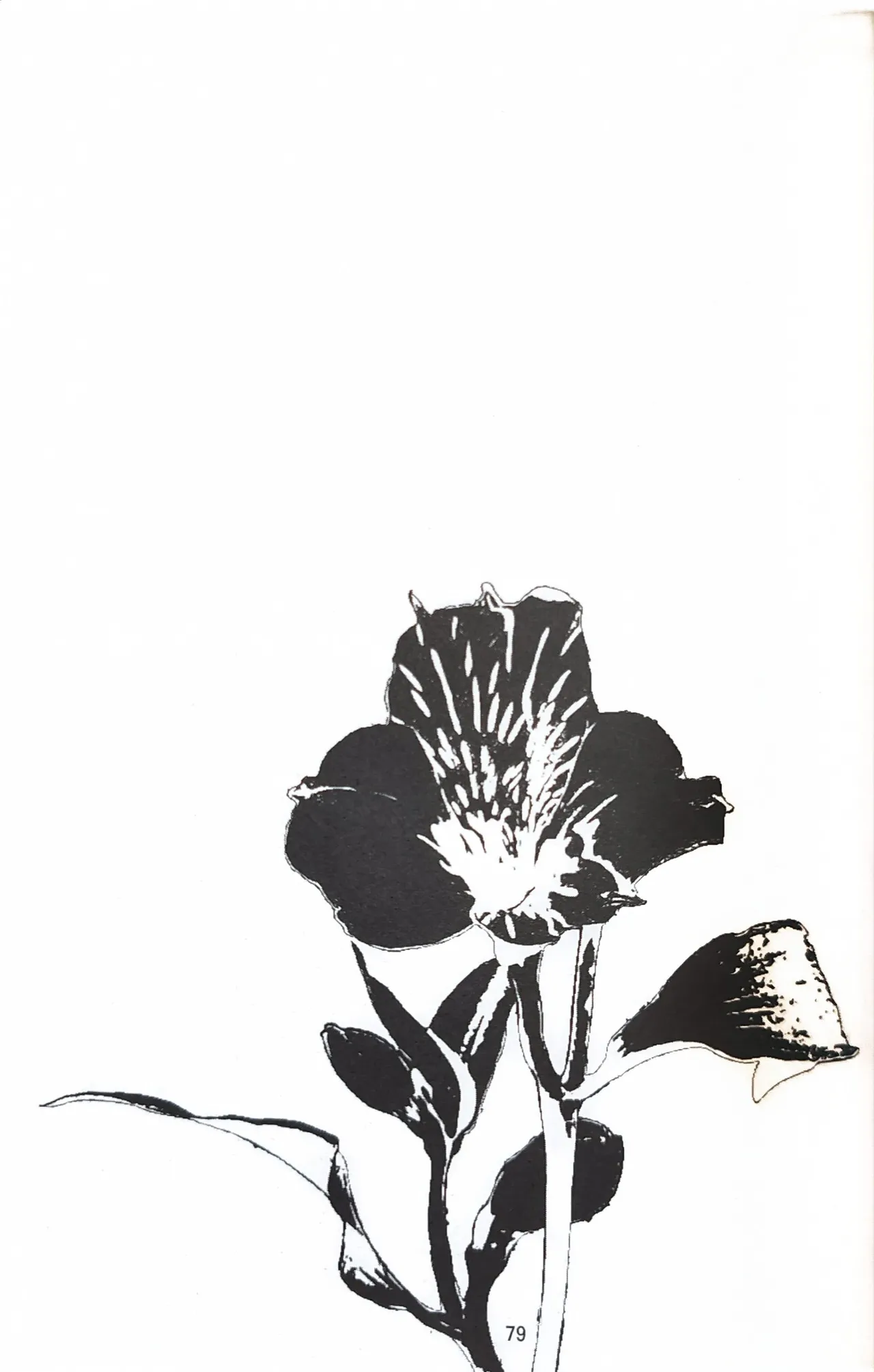 First Contact page 34 featuring vergil devil may cry parody - twins anal hentai manga - read online free