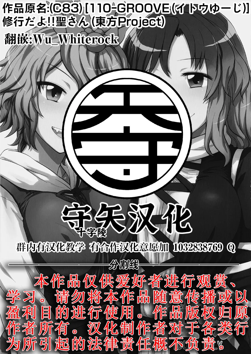 Page 27 of (C83) [110-GROOVE (Itou Yuuji)] Shugyou dayo!! Hijiri-san | 这是修行哦!!圣 (Touhou Project) [Chinese] [守矢十字陵汉化]