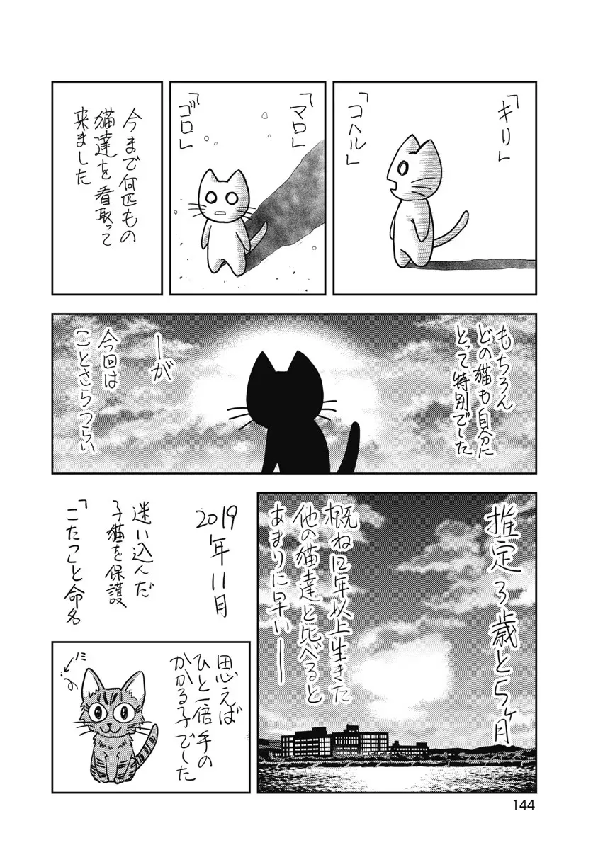 Isekai Soap Land Kaguya 6 page 145 - full censorship story arc hentai manga - read online free