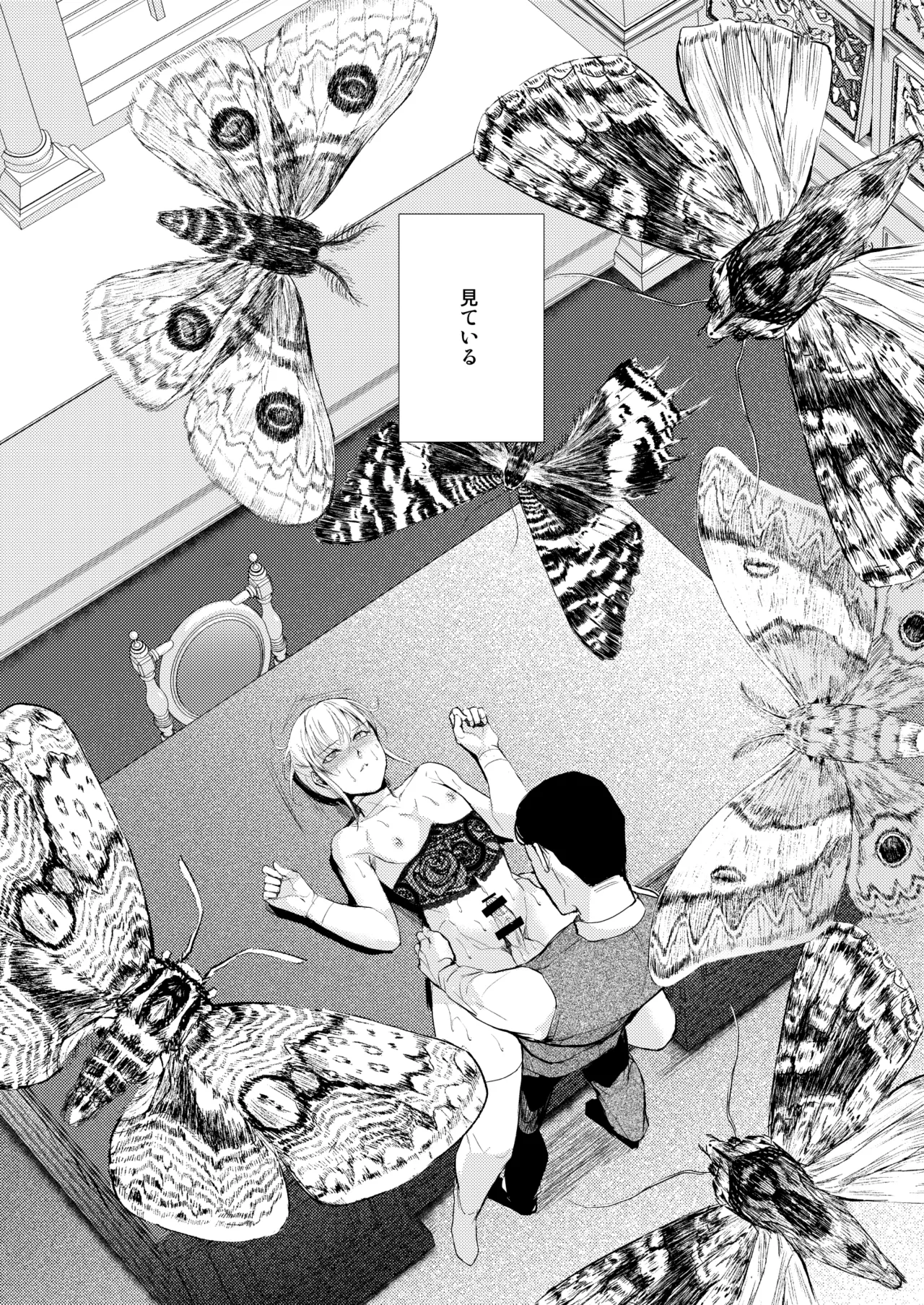 藤屋敷の標本 - Page 22