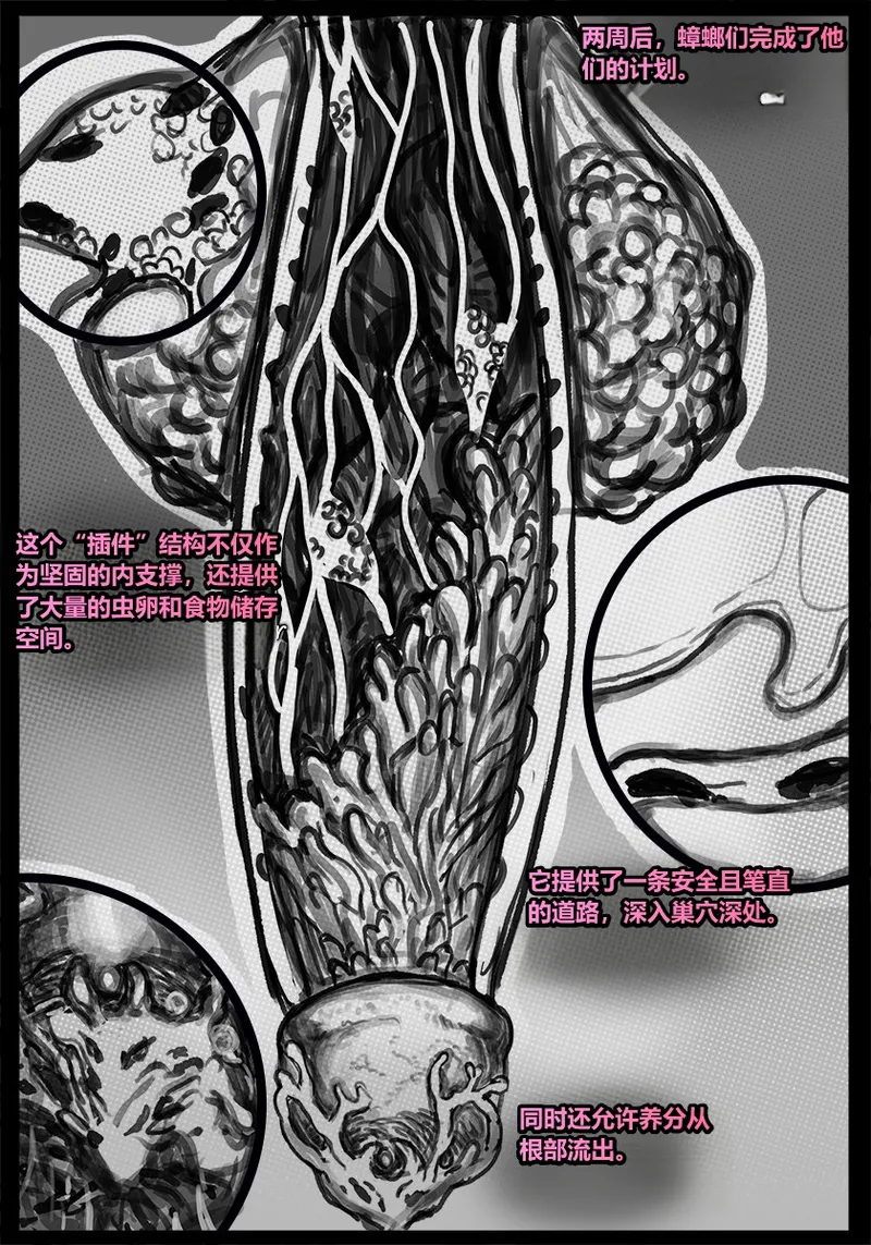 [Qusia] 请让鸡鸡远离虫子！(重口虫子慎入)Please keep your penis away from bugs! - Page 109