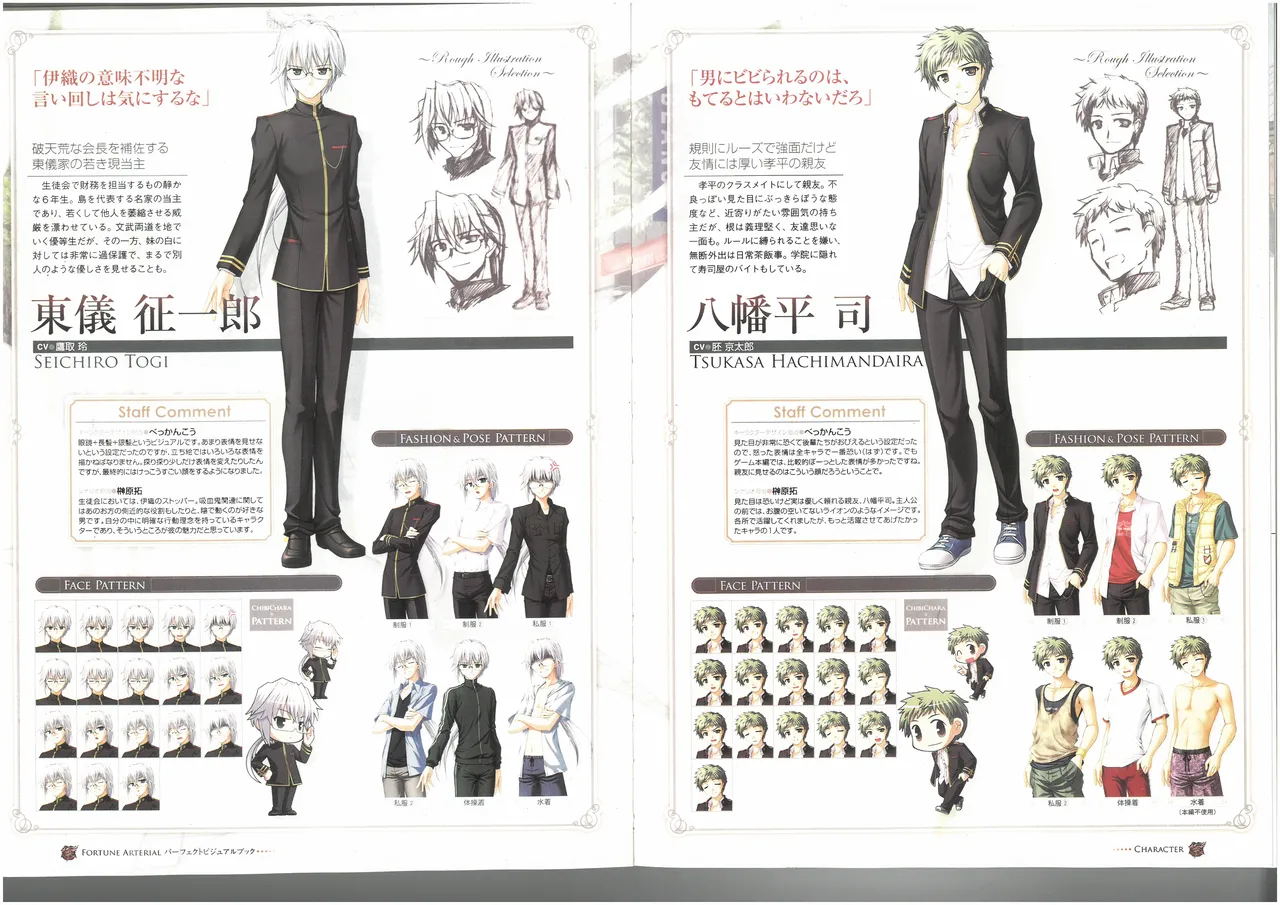 FORTUNE ARTERIAL PERFECT VISUAL BOOK - Page 37