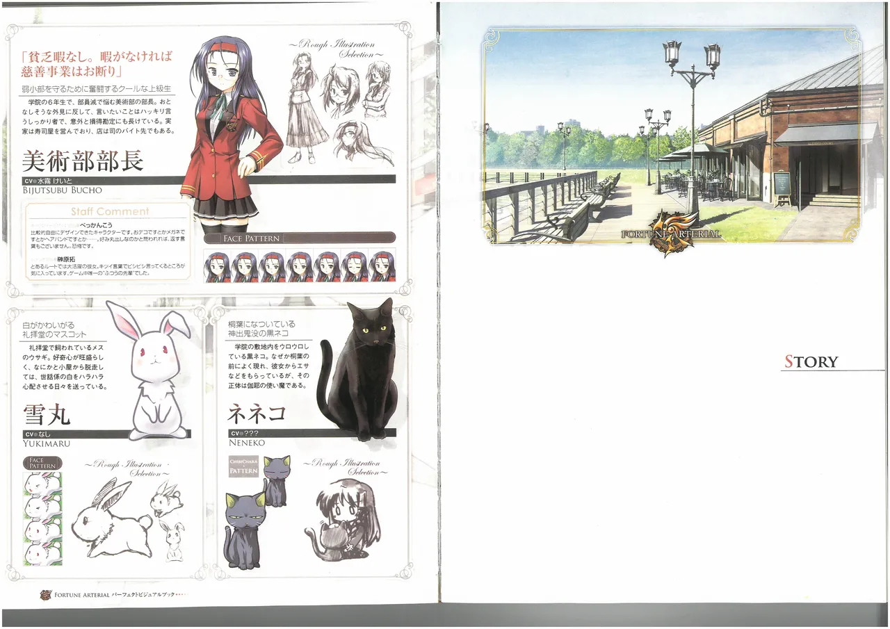 FORTUNE ARTERIAL PERFECT VISUAL BOOK - Page 39