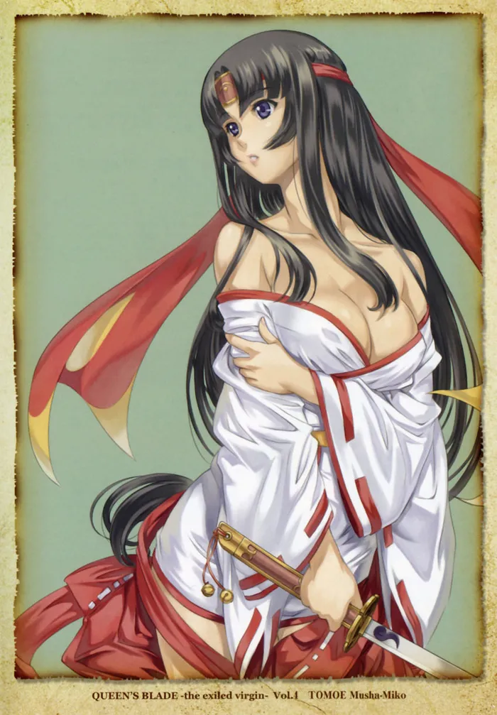 Queen's Blade Tomoe Collection - Page 27