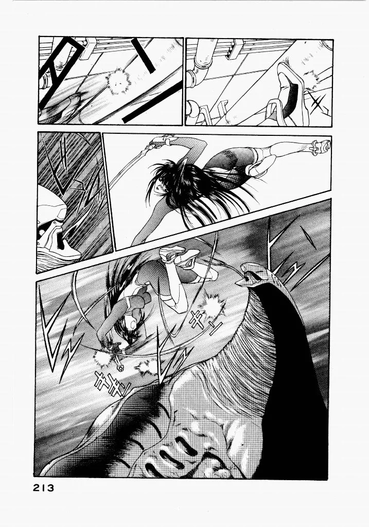 Seraphic Feather 03 - Page 209