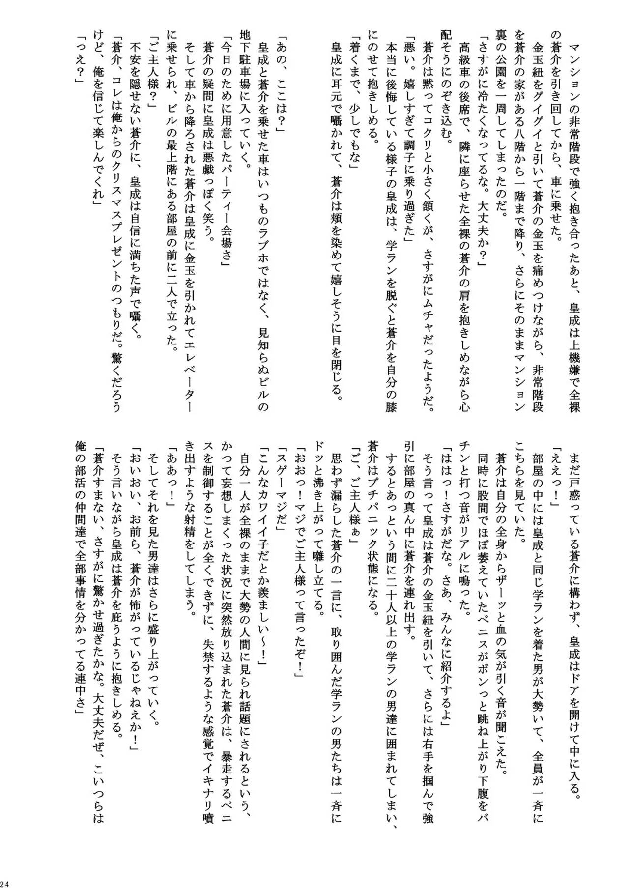 Goshujinsama to Fuyuyasumi - Page 24