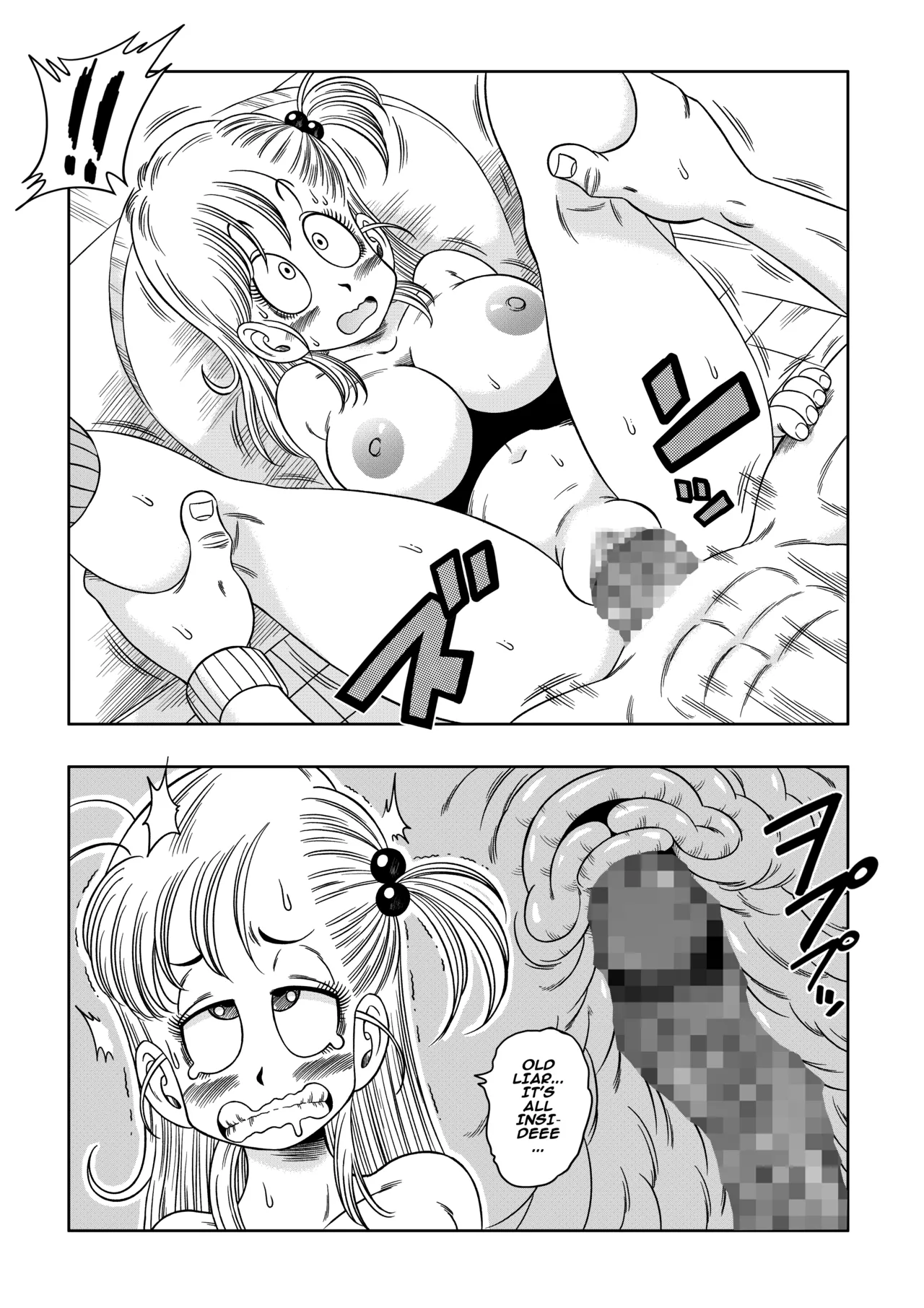 Kame Toilet | Turtle Toilet - Page 19