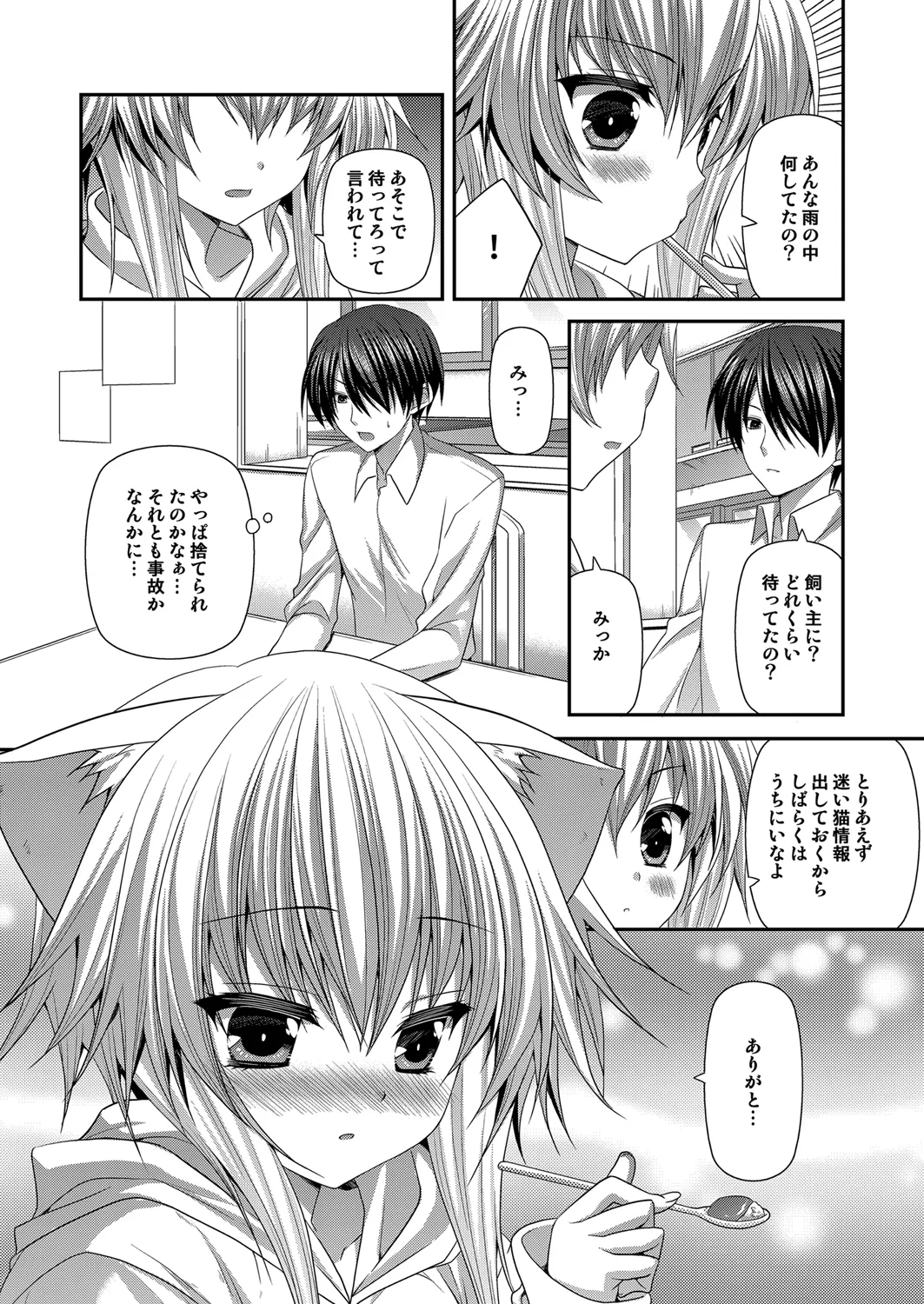 Preview page 5