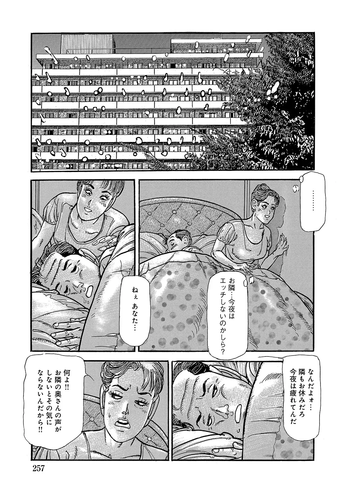 Shirouto Bijinzuma - Page 257