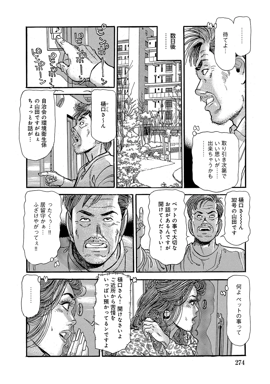 Shirouto Bijinzuma - Page 273
