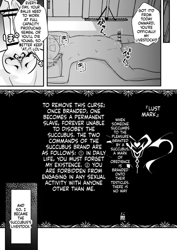 Lamp no Succubus ni Shiborareru - Page 11