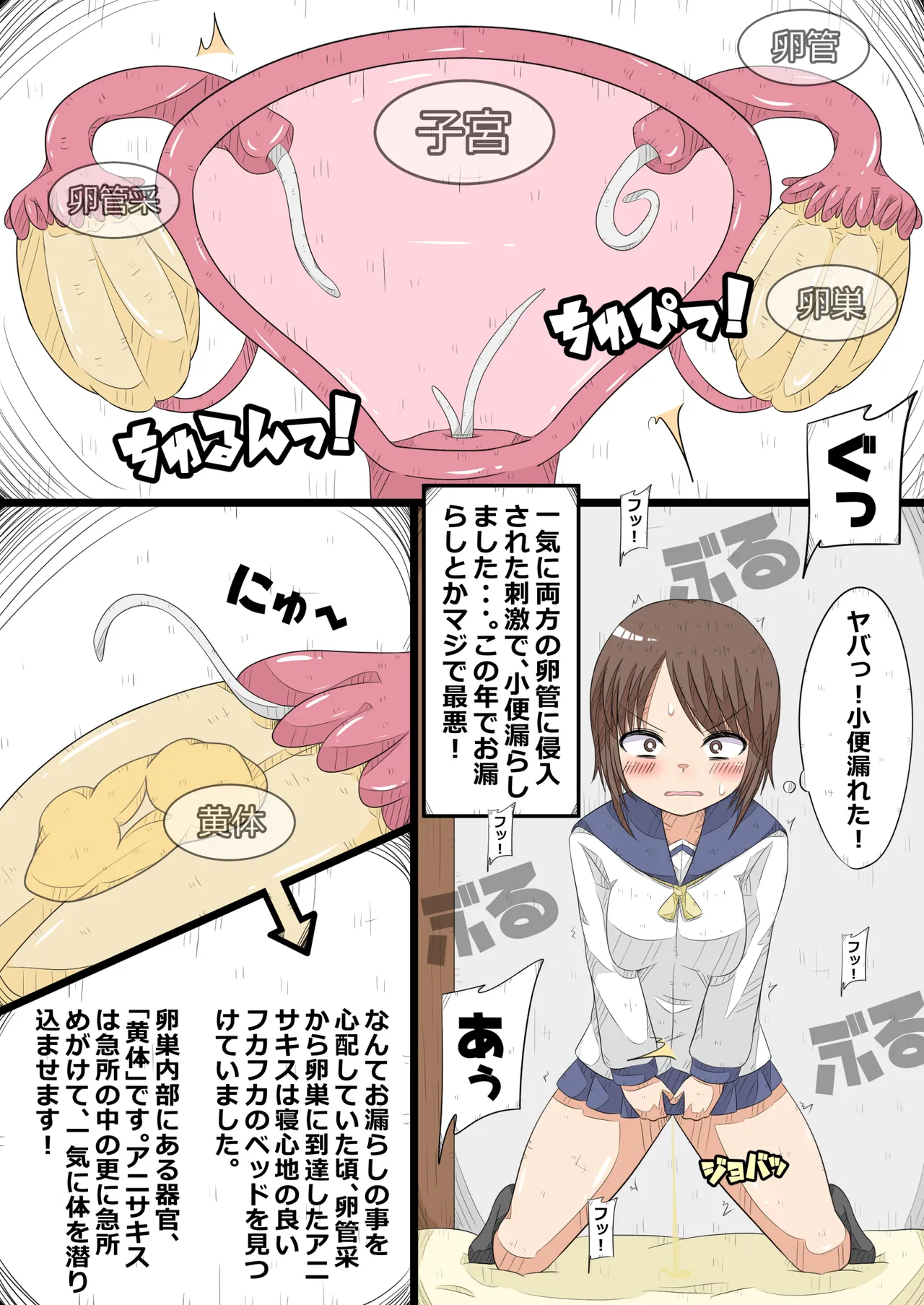 Preview page 6