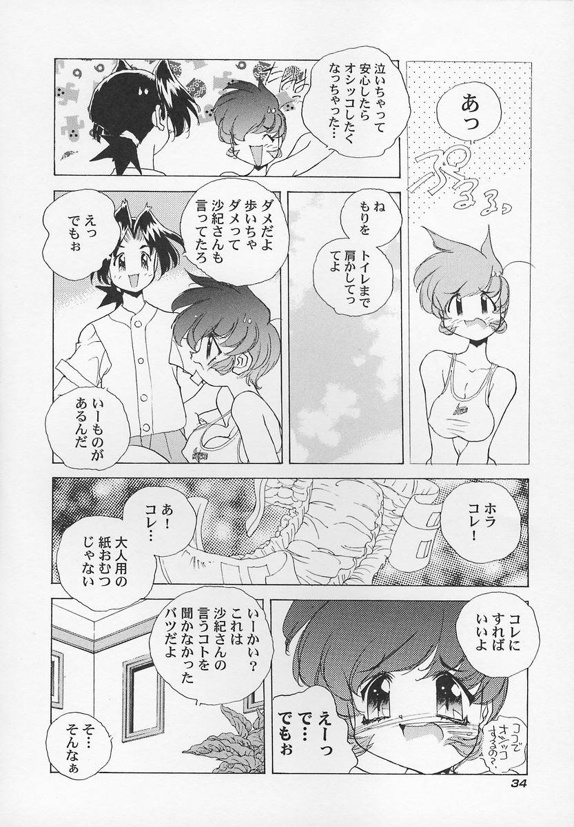 Sanshimai H Monogatari 2 - Page 38